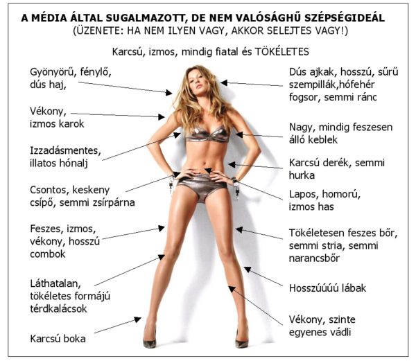média sugallta testkép